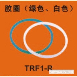 TRF1-R